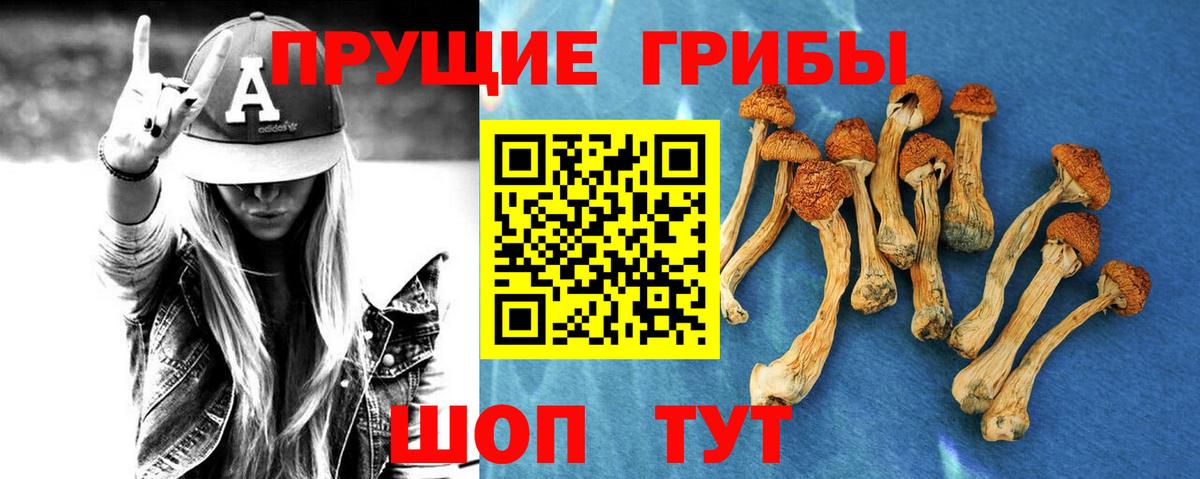 Орск  Псилоцибиновые грибы мицелий  наркота  Вход с VPN 